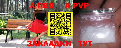 стаф Бийск